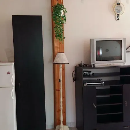 Haus Willi Διαμέρισμα *